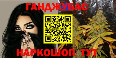 сатива Малгобек