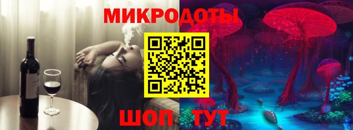 Псилоцибиновые грибы Psilocybe Чехов